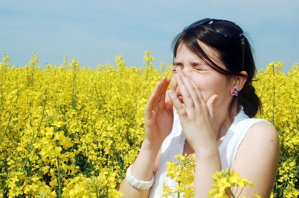 Bee Pollen - Natural Allergy Relief